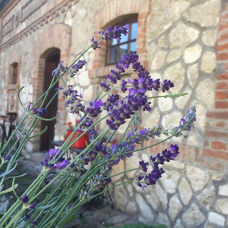 Levendula Porta Es Pajtaszinhaz Hotel Orfu Luaran gambar