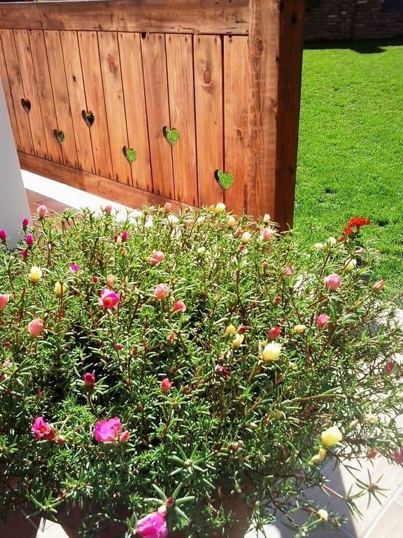 Levendula Porta Es Pajtaszinhaz Hotel Orfu Luaran gambar