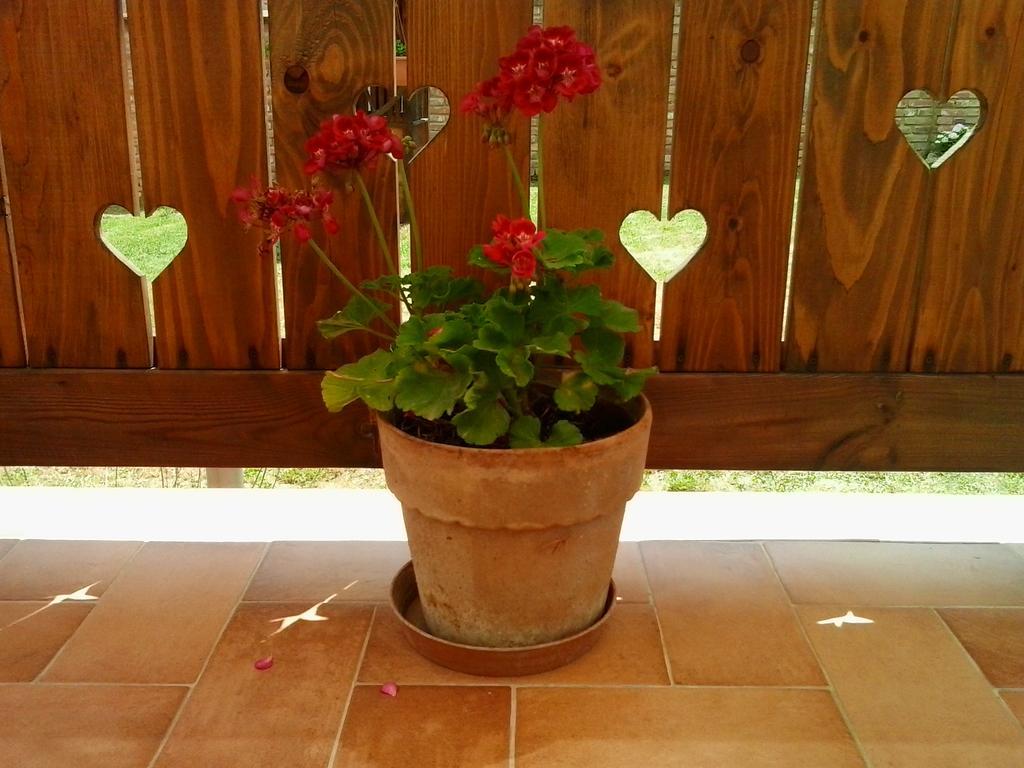 Levendula Porta Es Pajtaszinhaz Hotel Orfu Luaran gambar
